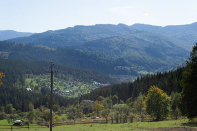 carpathian mountains in summer 036 — Скачать