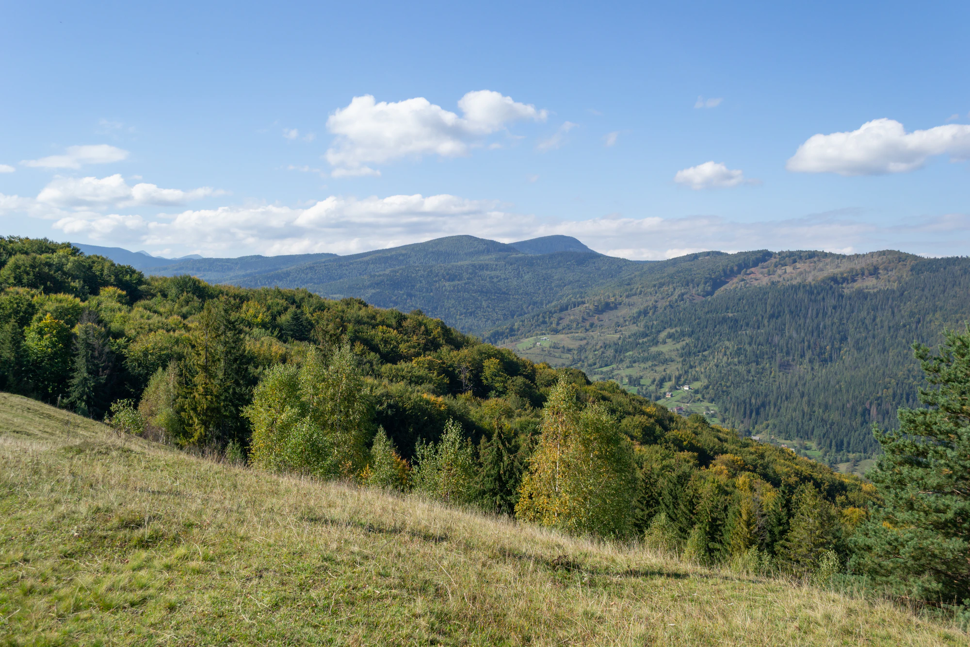 carpathian mountains in summer 037 — Скачать