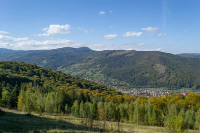 carpathian mountains in summer 039 — Скачать
