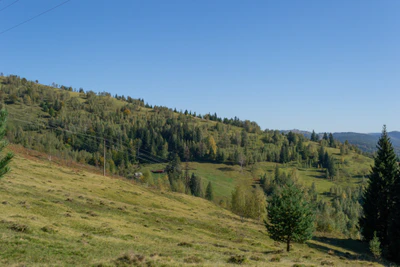 carpathian mountains in summer 040 — Скачать