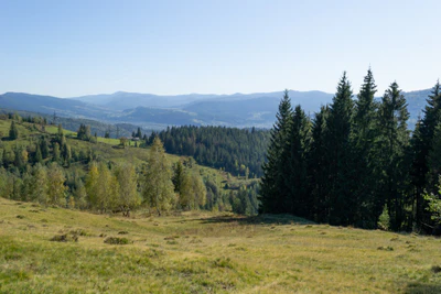 carpathian mountains in summer 042 — Descargar