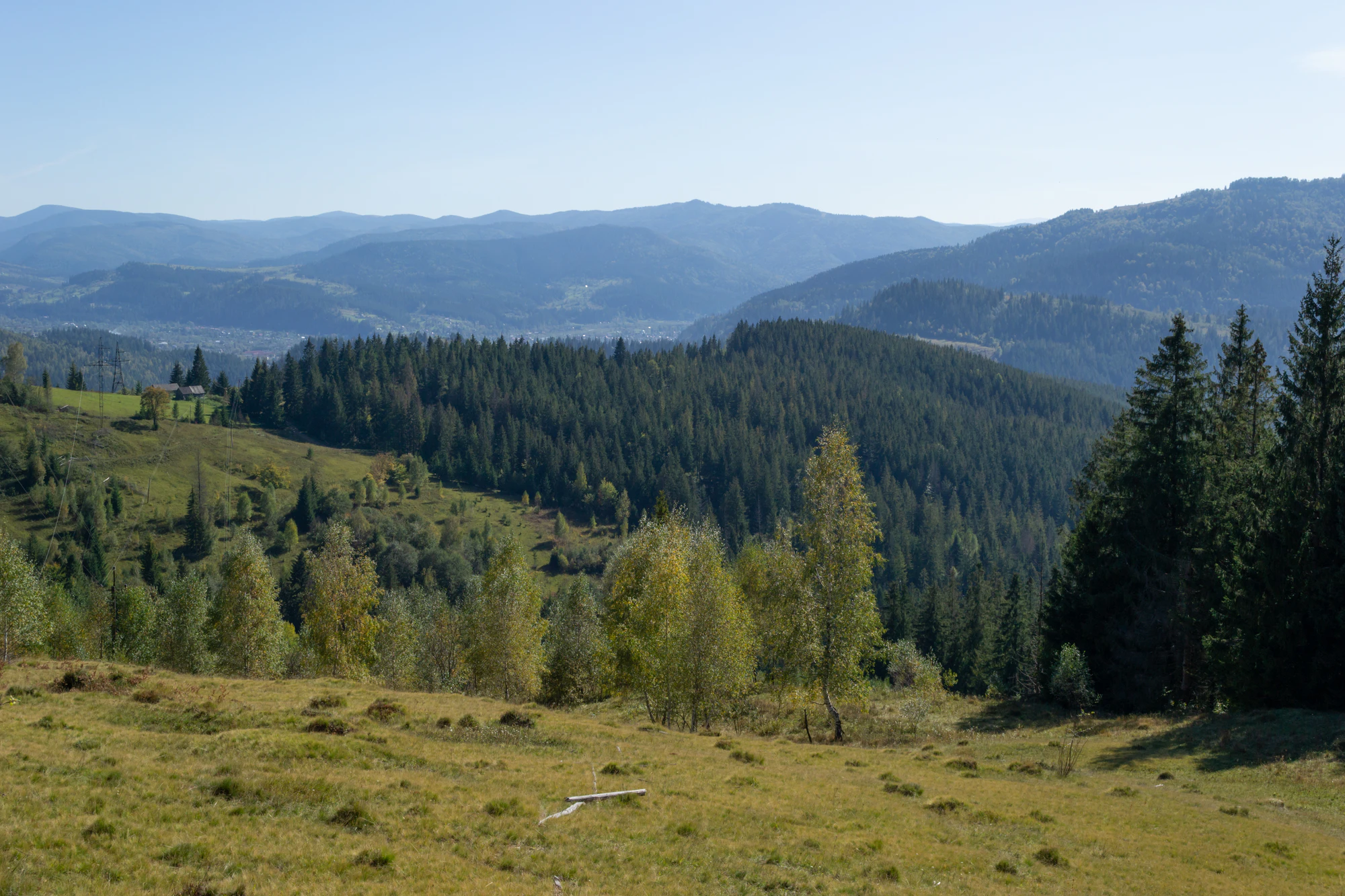 carpathian mountains in summer 043 — Скачать
