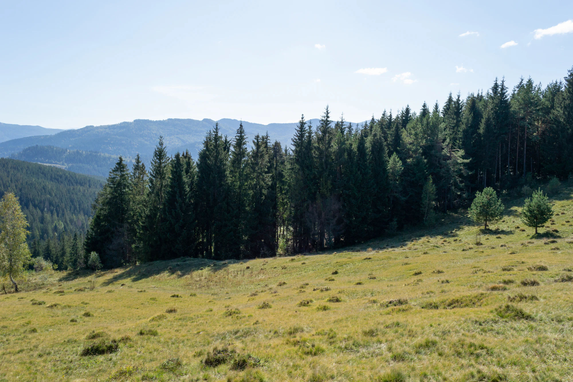 carpathian mountains in summer 044 — Скачать