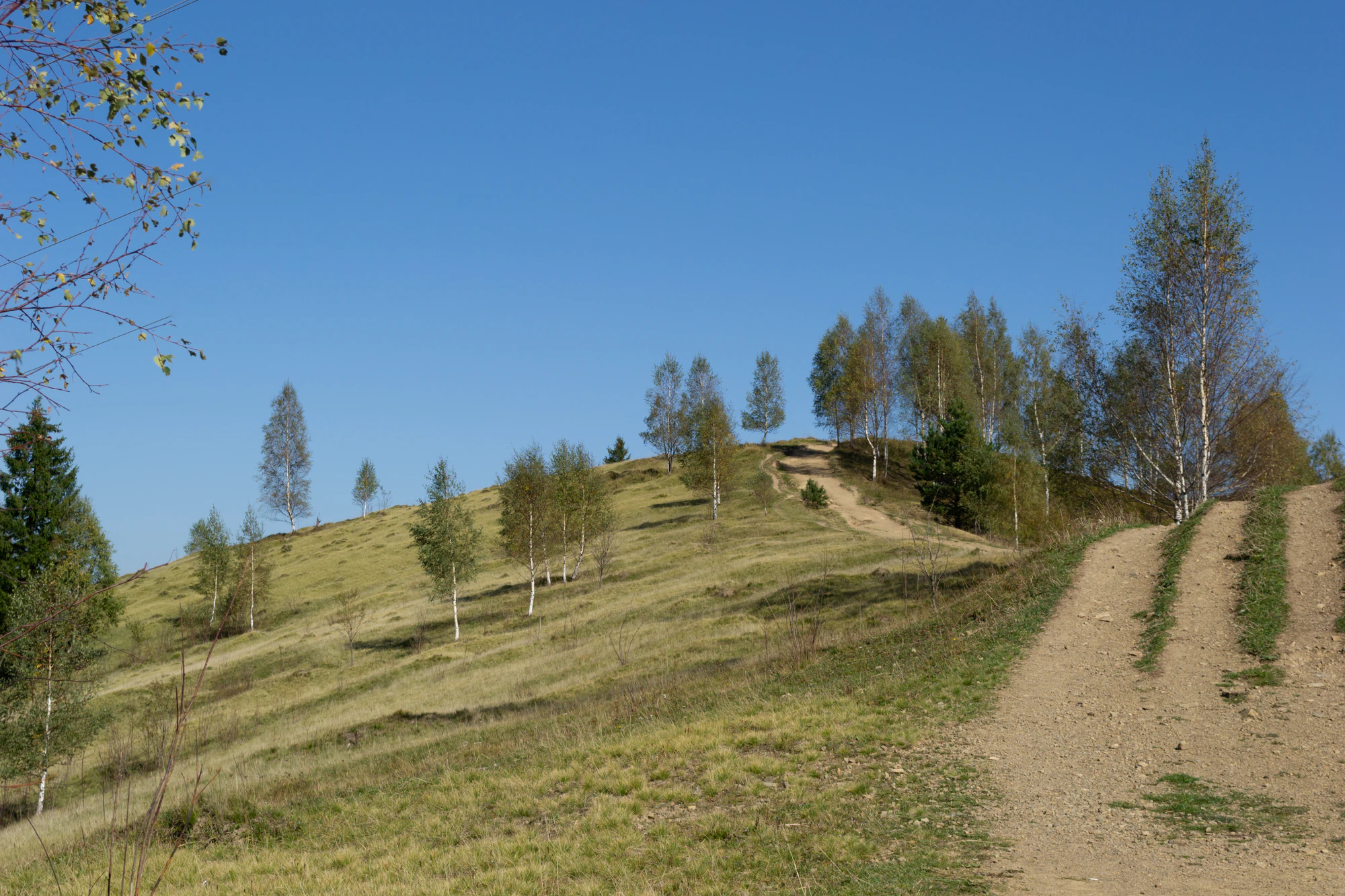 carpathian mountains in summer 045 — Скачать