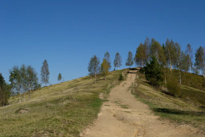 carpathian mountains in summer 046 — Descargar