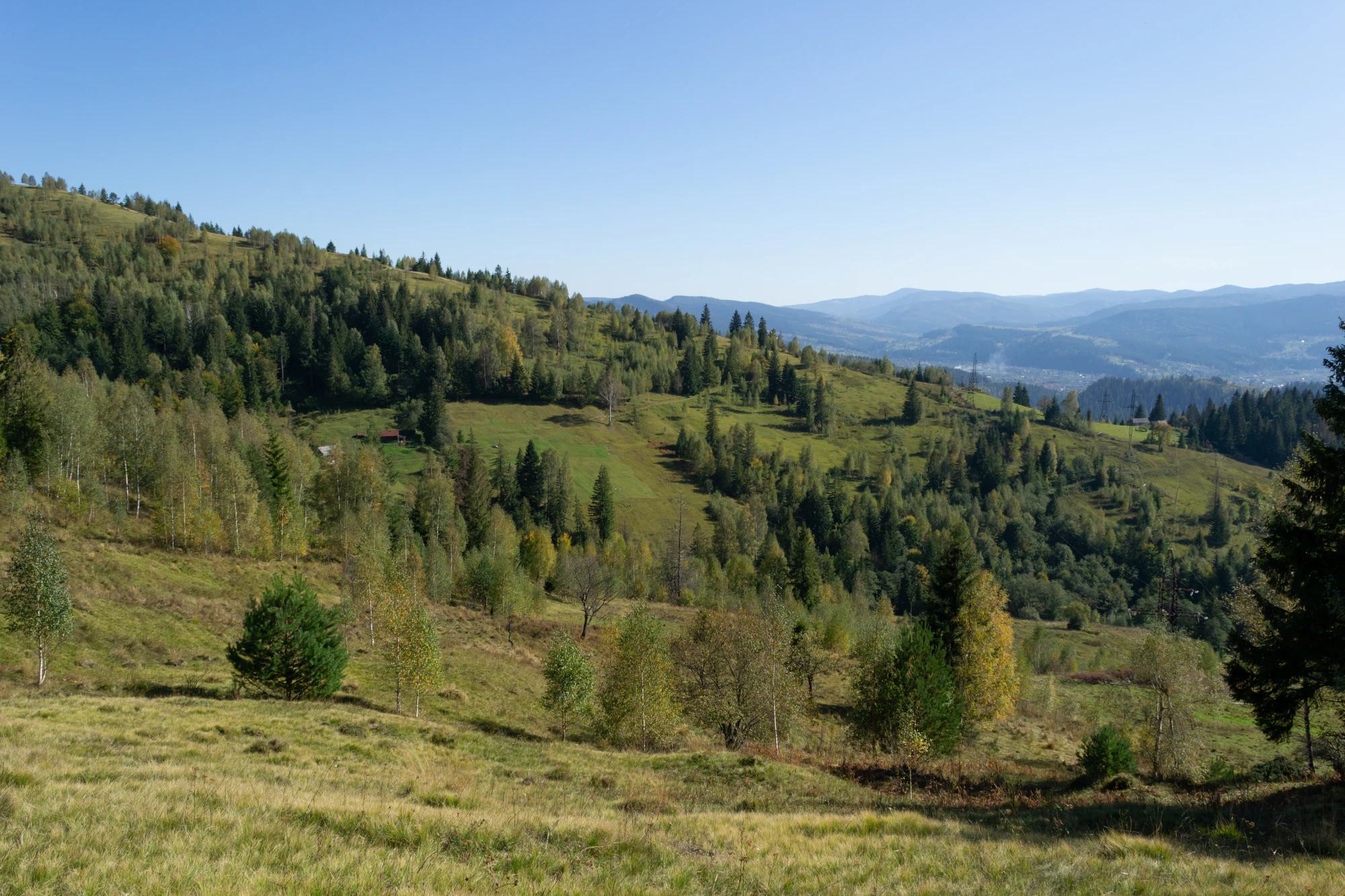 carpathian mountains in summer 047 — Скачать