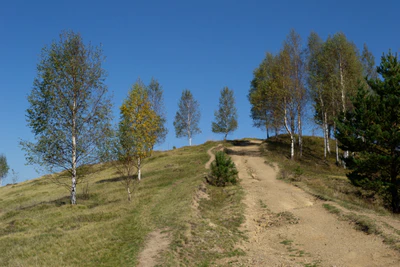 carpathian mountains in summer 048 — Descargar