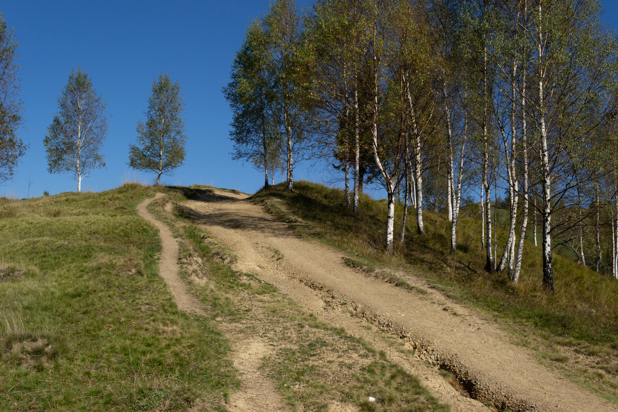 carpathian mountains in summer 049 — Скачать
