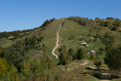 carpathian mountains in summer 051 — Скачать