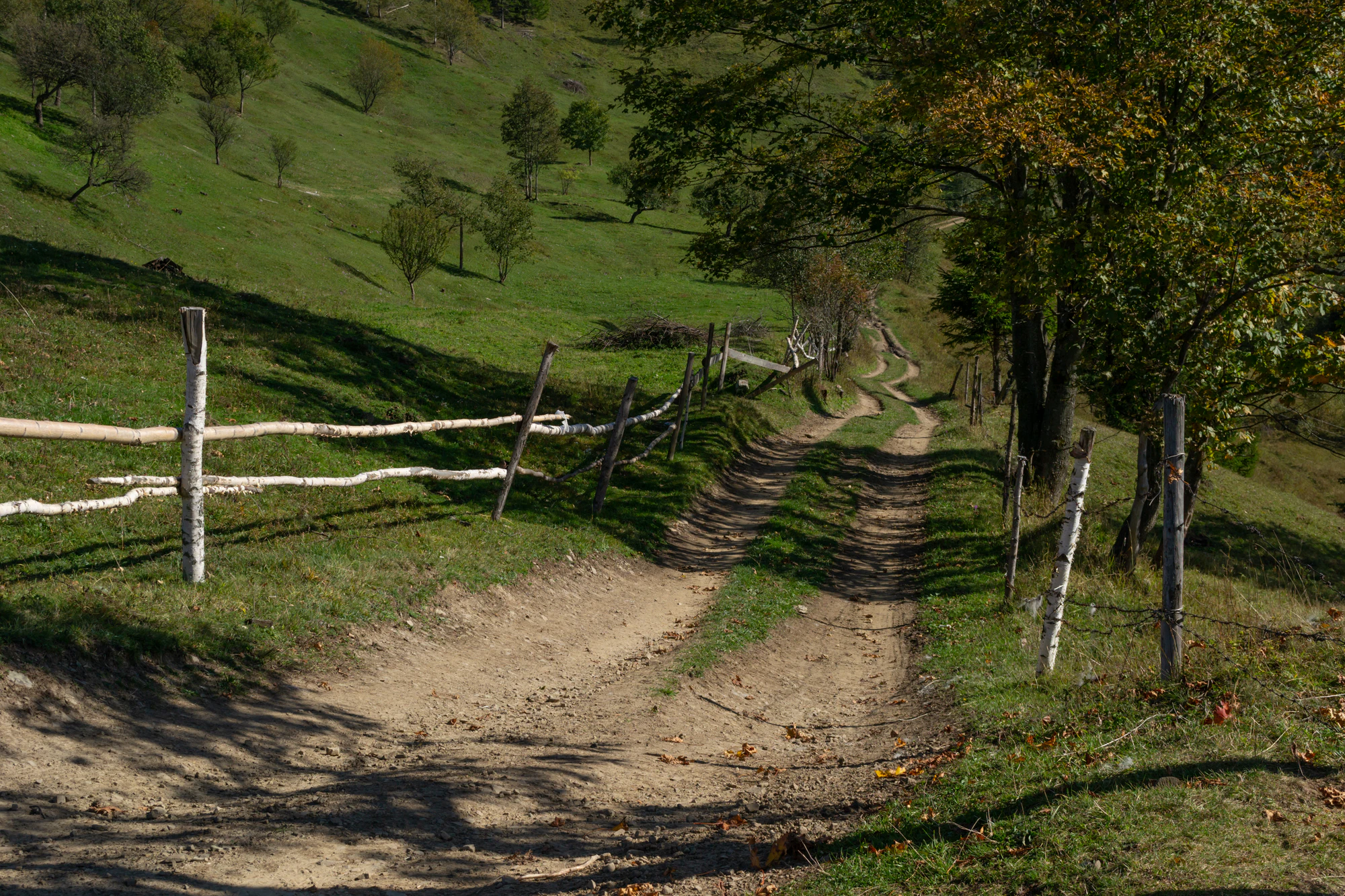 carpathian mountains in summer 054 — Descargar