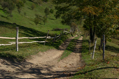 carpathian mountains in summer 054 — Descargar