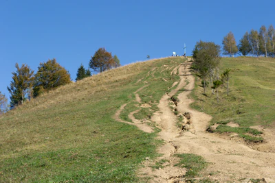 carpathian mountains in summer 058 — Скачать