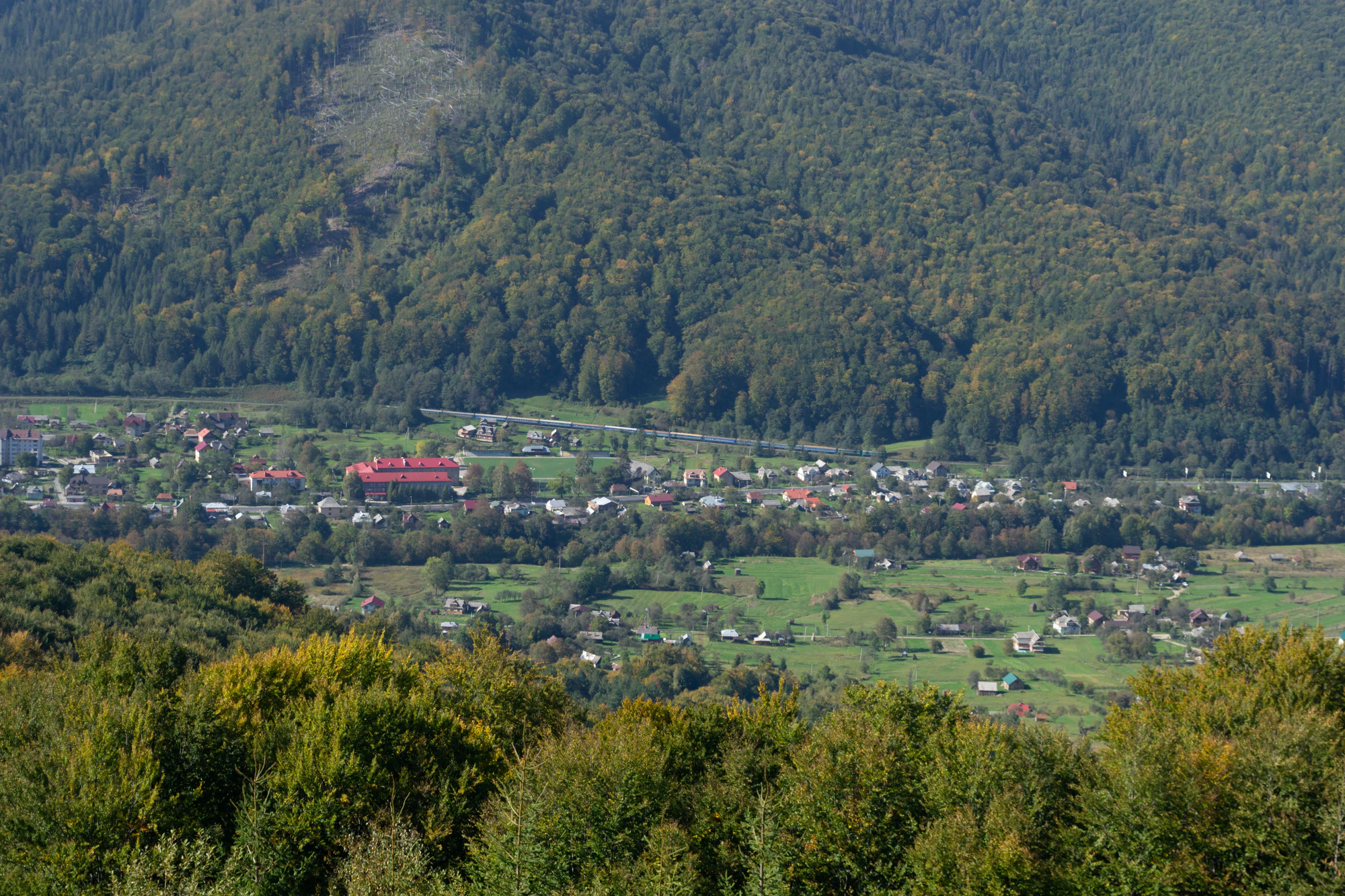 carpathian mountains in summer 059 — Descargar