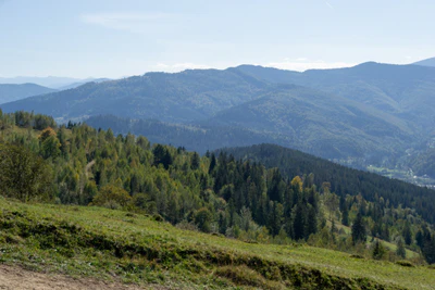 carpathian mountains in summer 060 — Descargar
