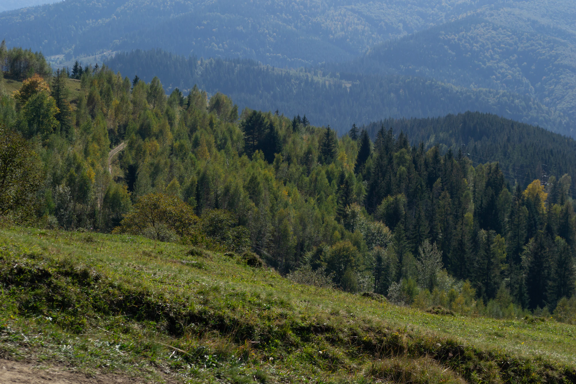 carpathian mountains in summer 062 — Скачать