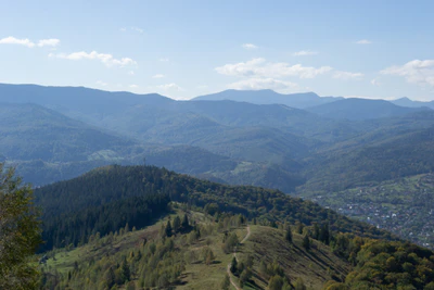 carpathian mountains in summer 064 — Descargar