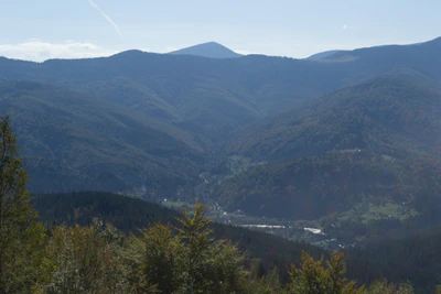 carpathian mountains in summer 066 — Descargar
