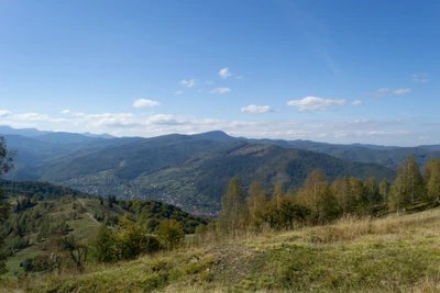 carpathian mountains in summer 068 — Скачать