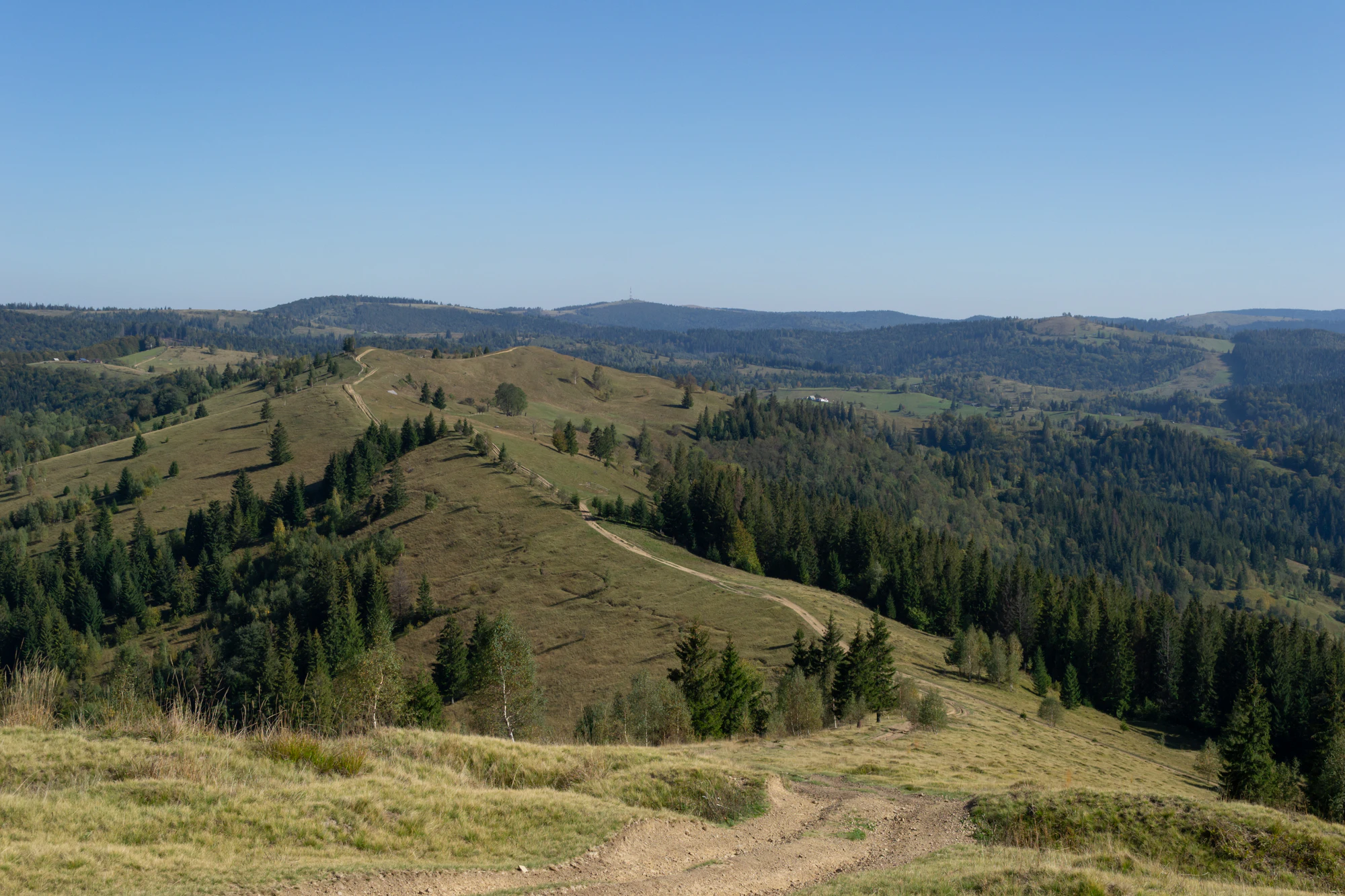 carpathian mountains in summer 069 — Скачать