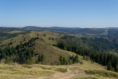 carpathian mountains in summer 069 — Скачать
