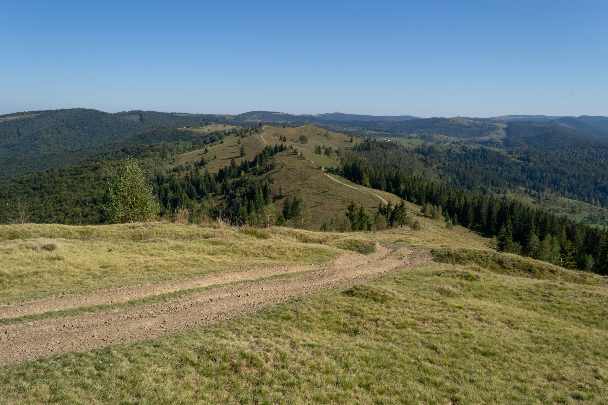 carpathian mountains in summer 070 — Descargar