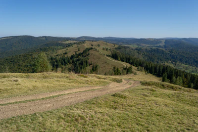 carpathian mountains in summer 070 — Descargar