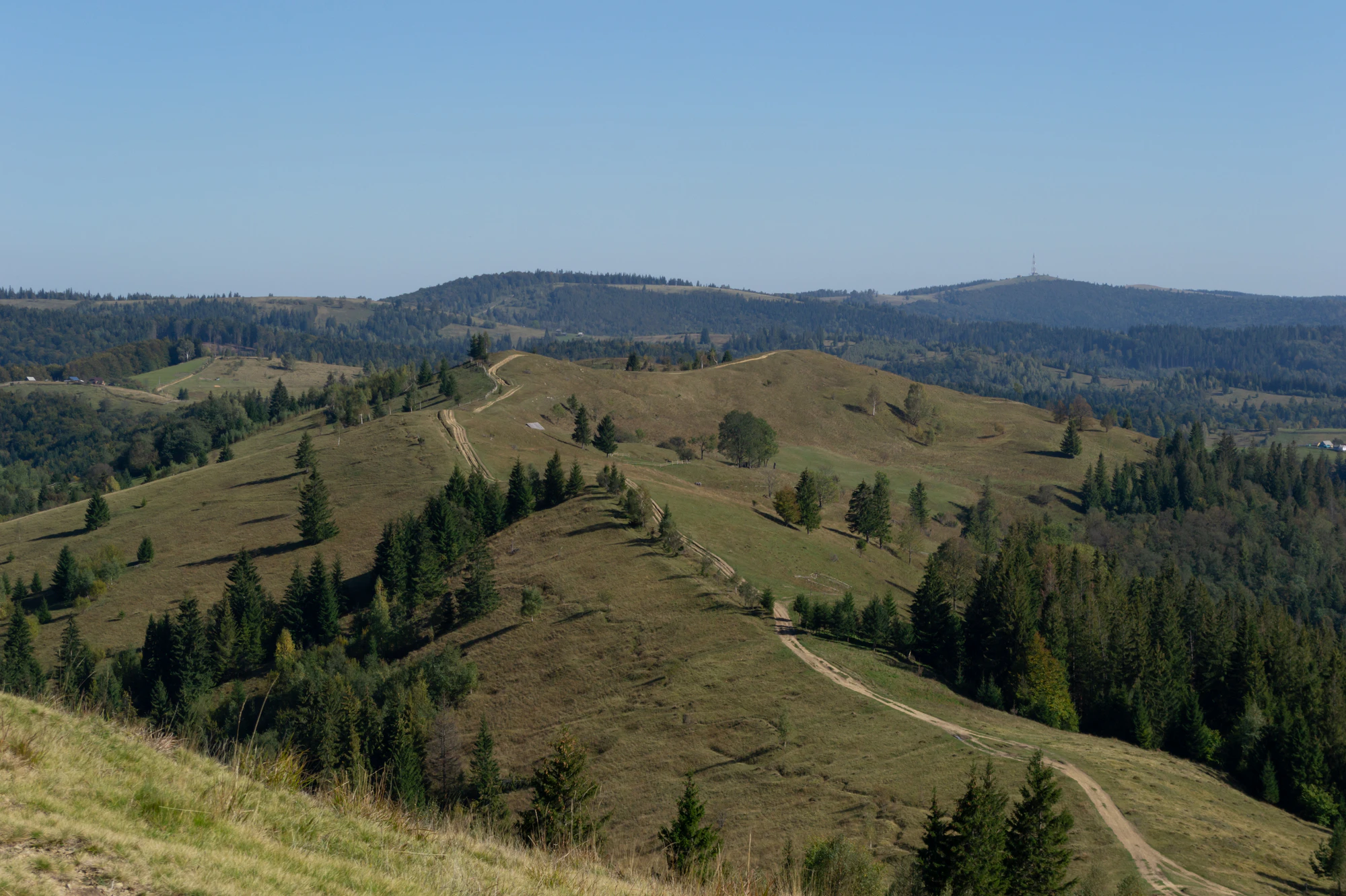 carpathian mountains in summer 072 — Descargar
