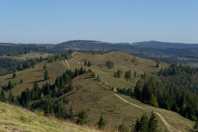 carpathian mountains in summer 072 — Descargar
