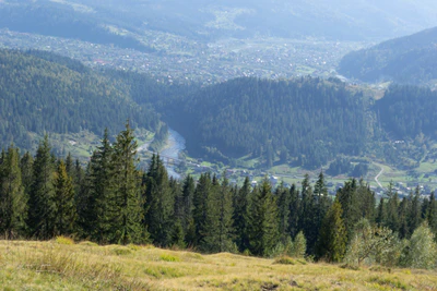 carpathian mountains in summer 073 — Скачать