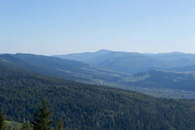carpathian mountains in summer 075 — Descargar