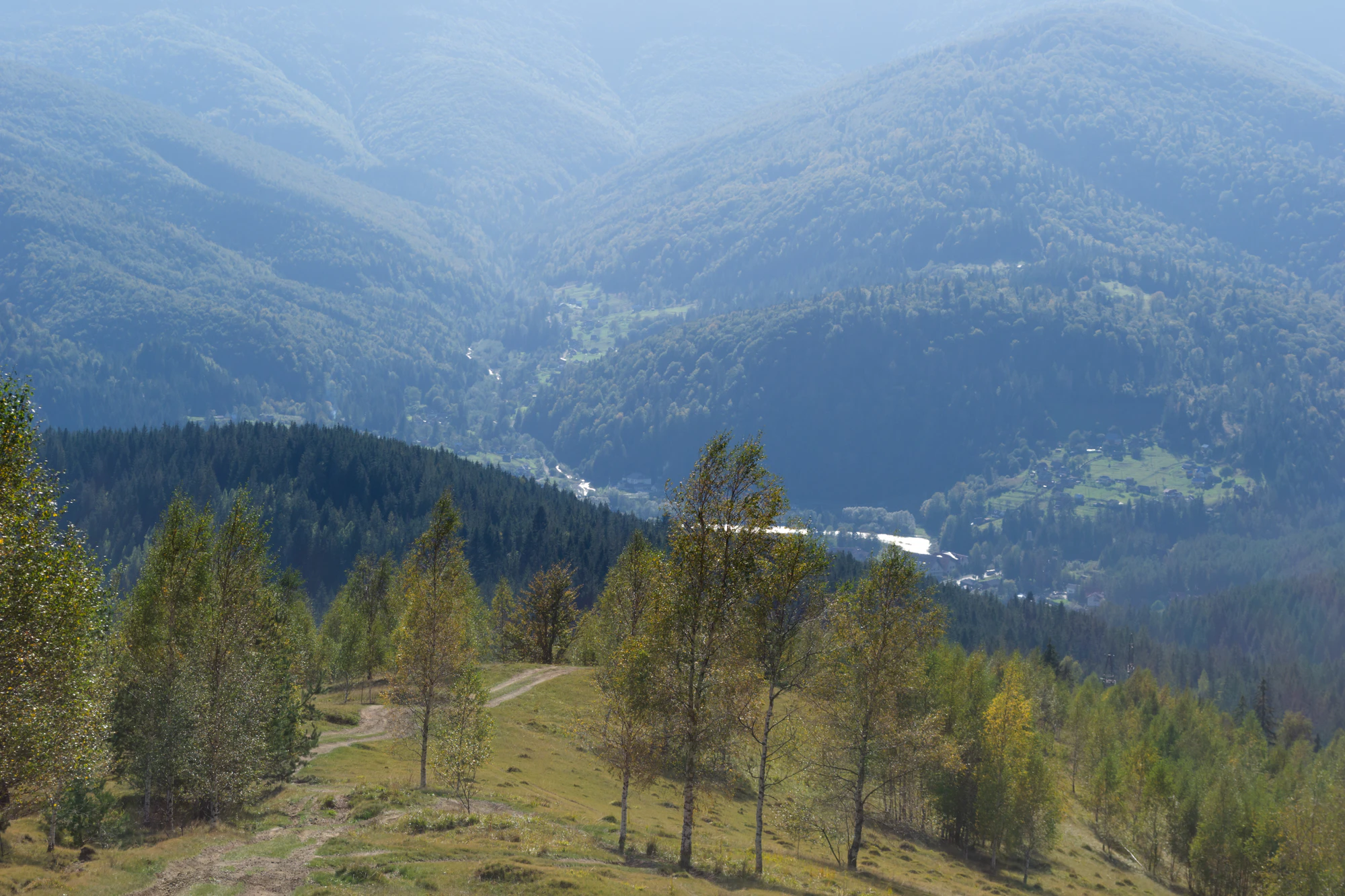 carpathian mountains in summer 076 — Скачать
