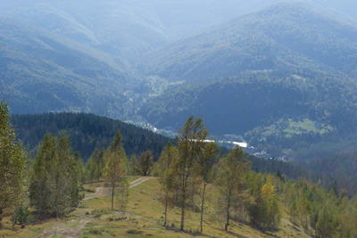 carpathian mountains in summer 076 — Скачать