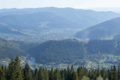 carpathian mountains in summer 077 — Descargar