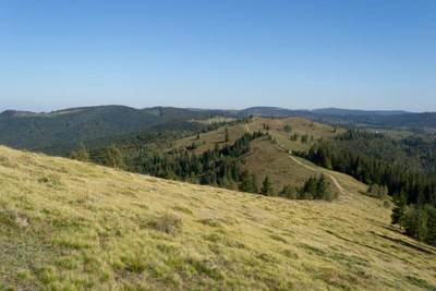 carpathian mountains in summer 078 — Descargar