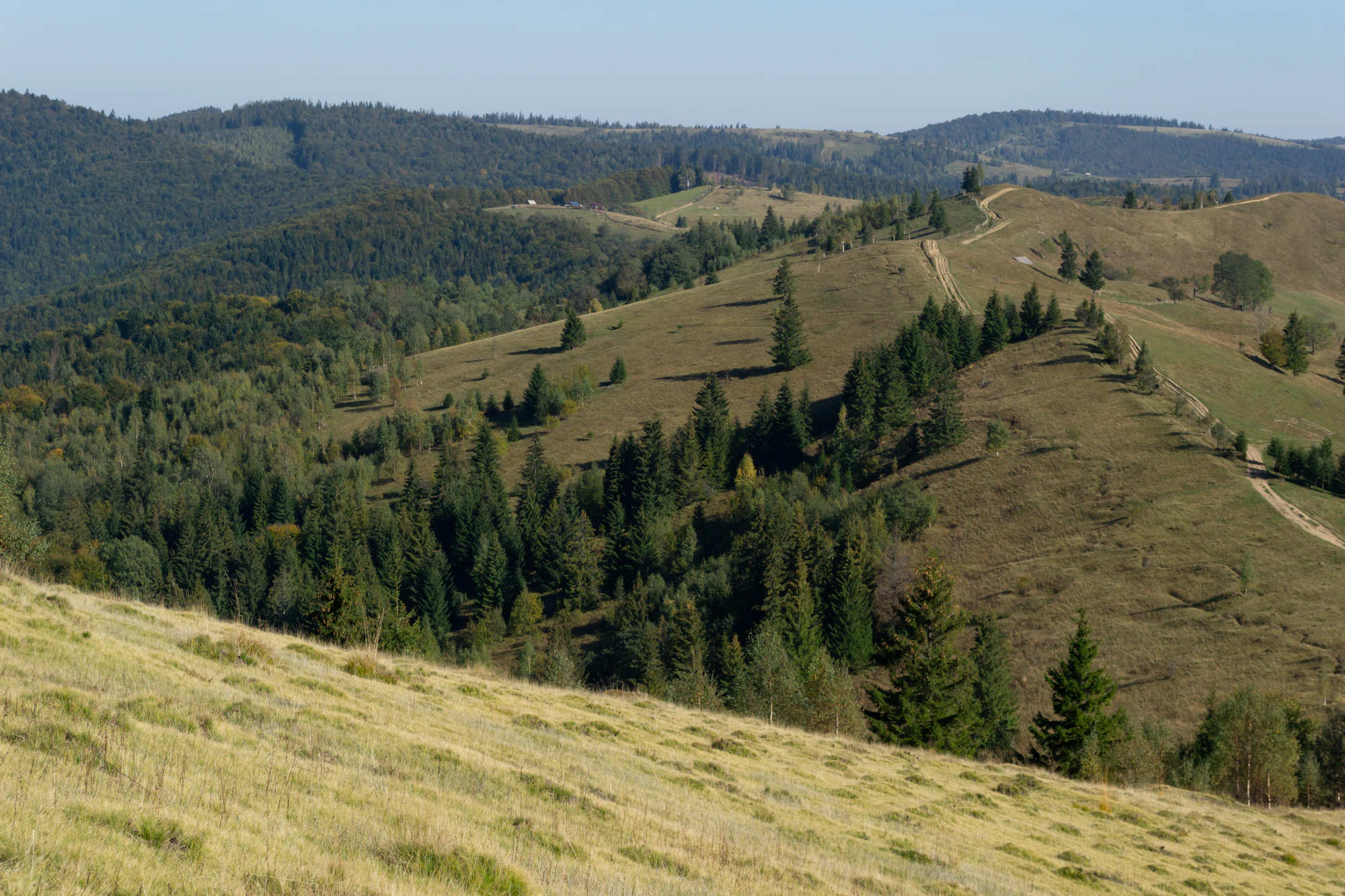 carpathian mountains in summer 079 — Скачать