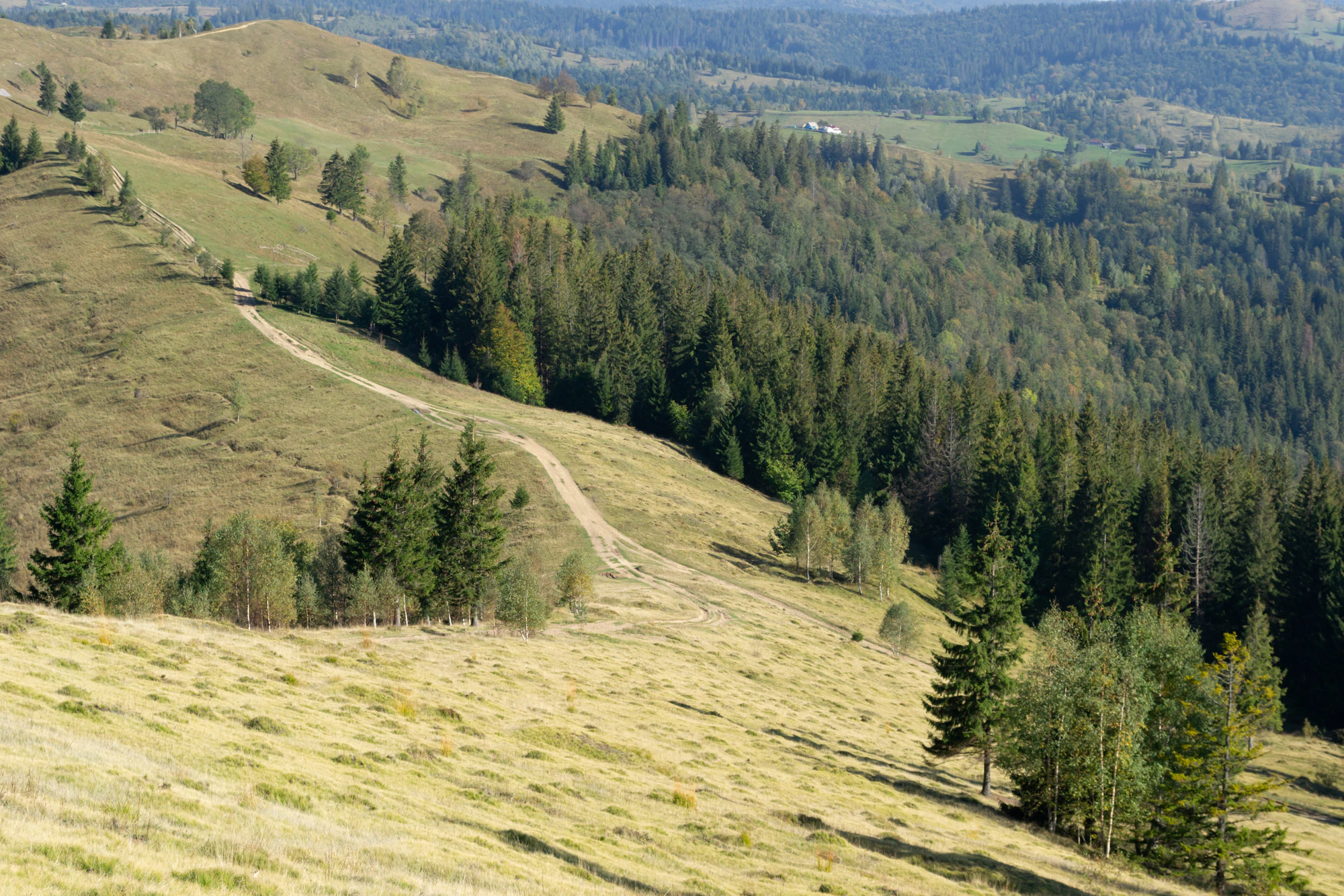 carpathian mountains in summer 080 — Descargar