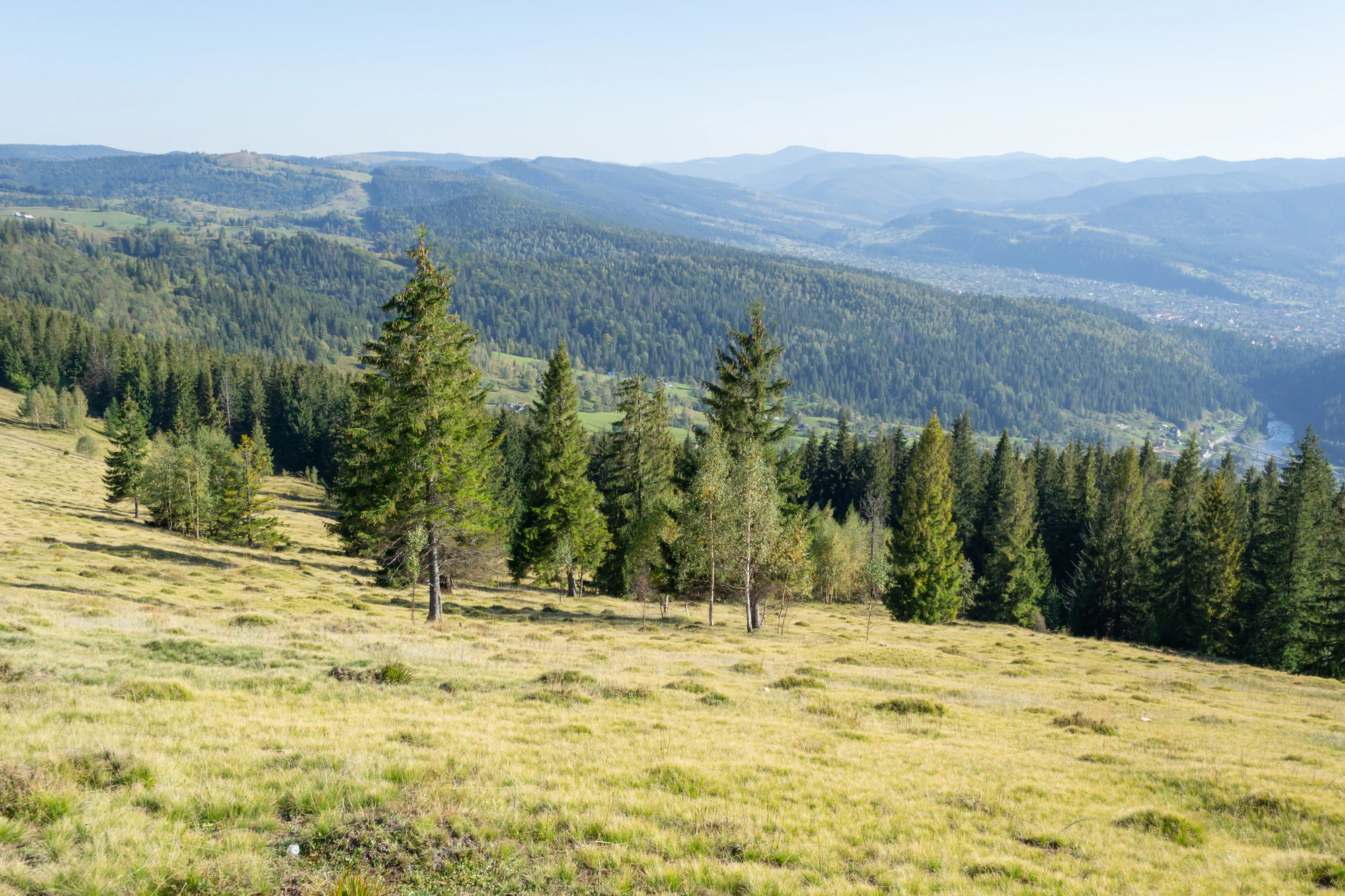 carpathian mountains in summer 081 — Descargar