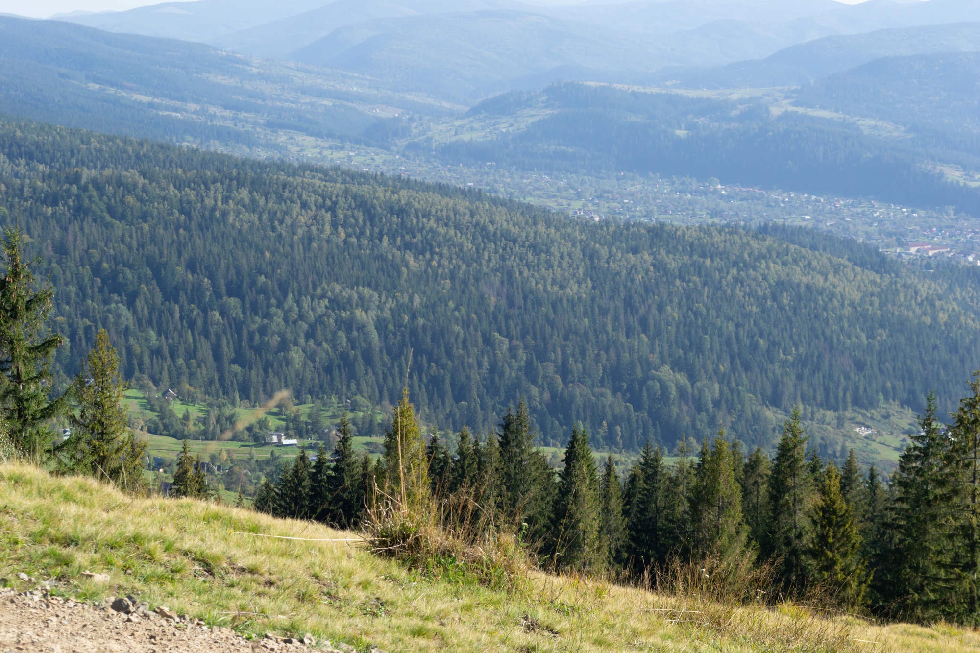 carpathian mountains in summer 082 — Descargar