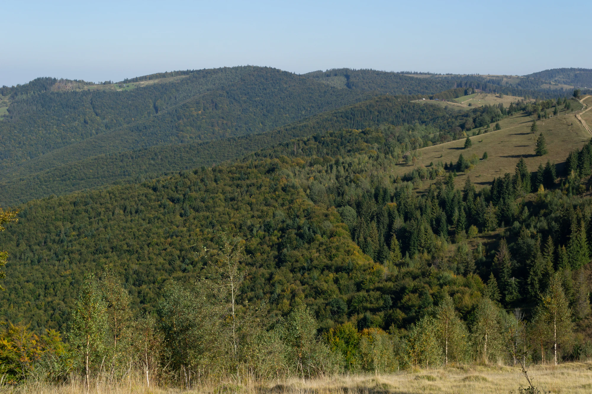 carpathian mountains in summer 083 — Скачать