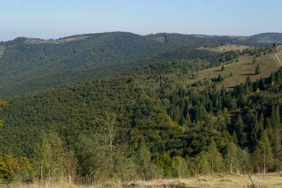 carpathian mountains in summer 083 — Скачать