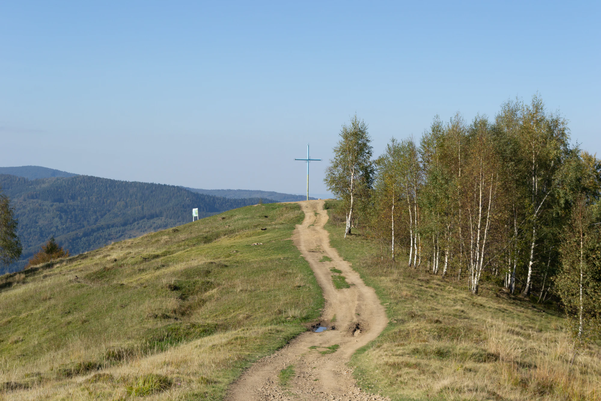 carpathian mountains in summer 084 — Descargar