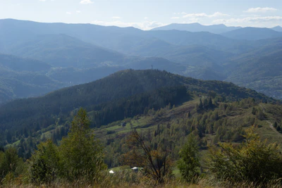 carpathian mountains in summer 085 — Скачать