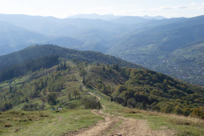 carpathian mountains in summer 087 — Скачать