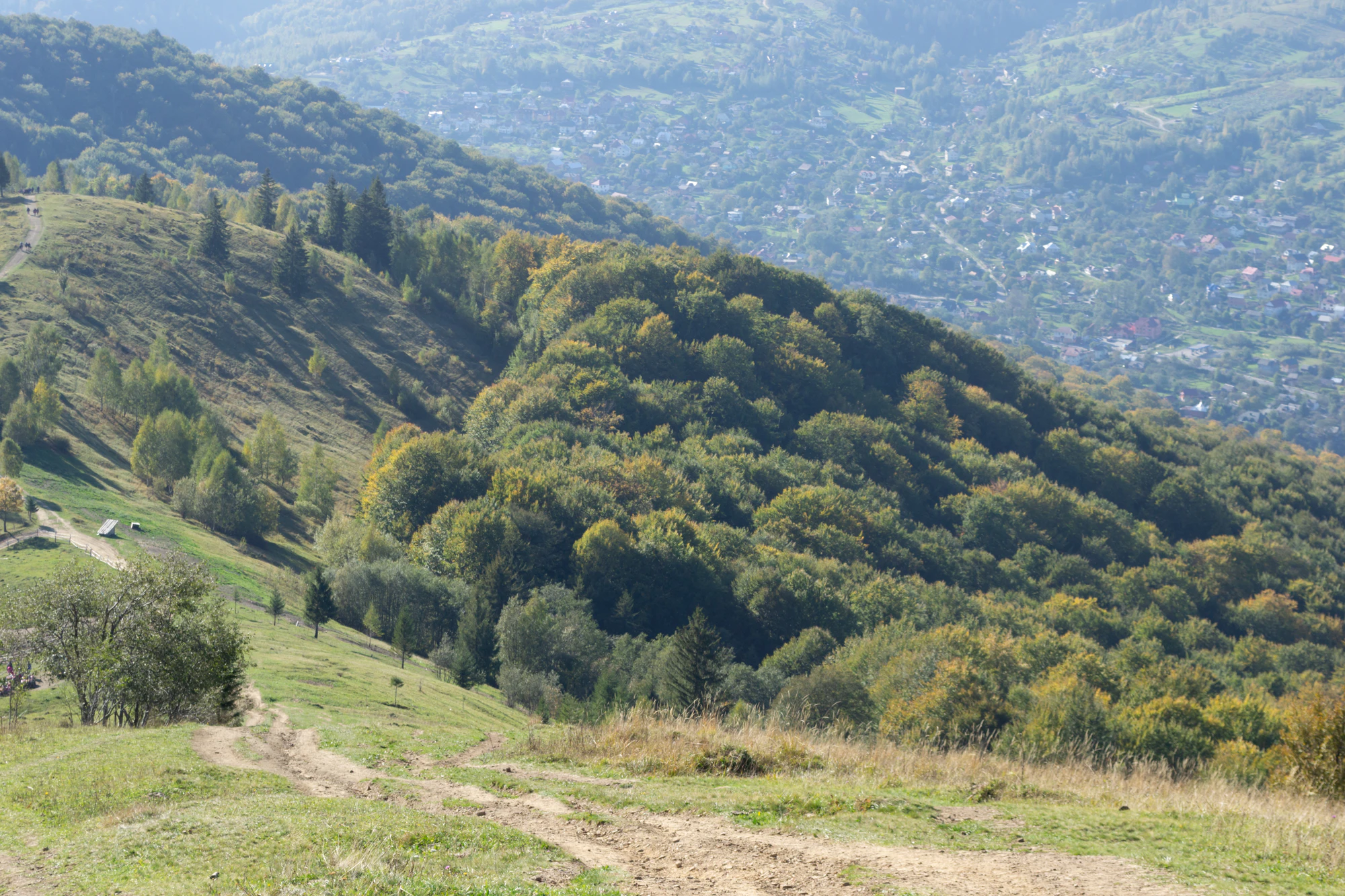 carpathian mountains in summer 088 — Скачать