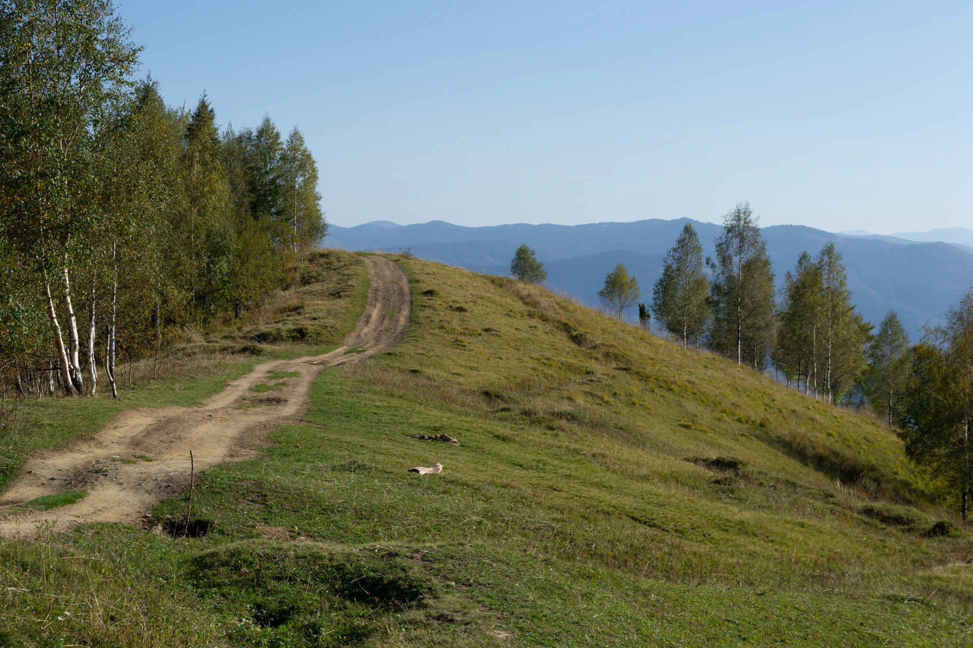 carpathian mountains in summer 089 — Descargar