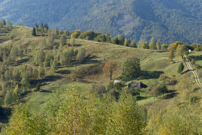 carpathian mountains in summer 091 — Descargar