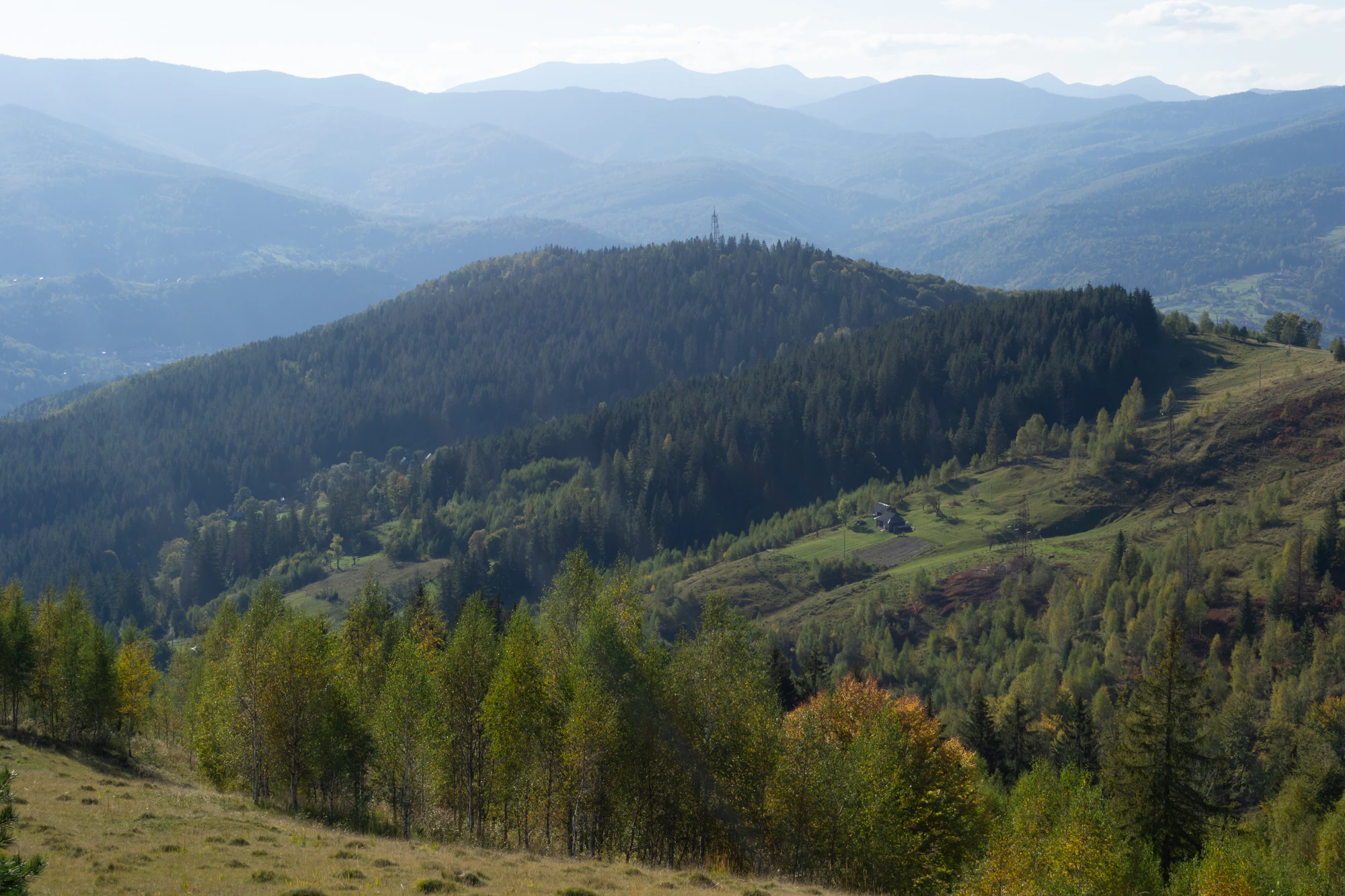 carpathian mountains in summer 092 — Descargar