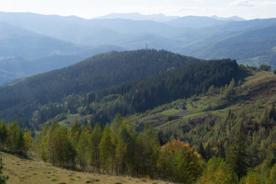 carpathian mountains in summer 092 — Descargar