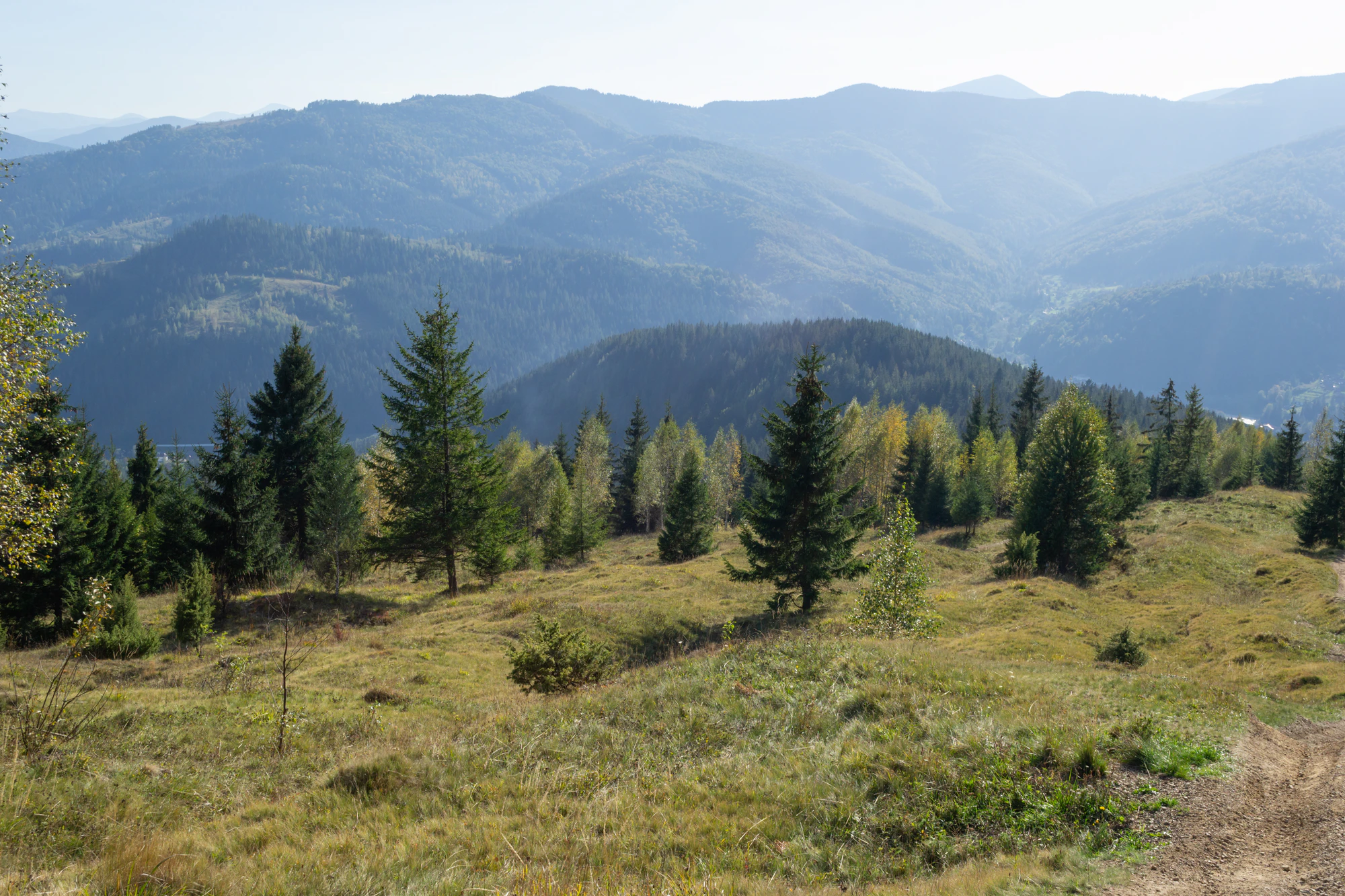 carpathian mountains in summer 093 — Descargar