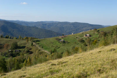 carpathian mountains in summer 094 — Descargar